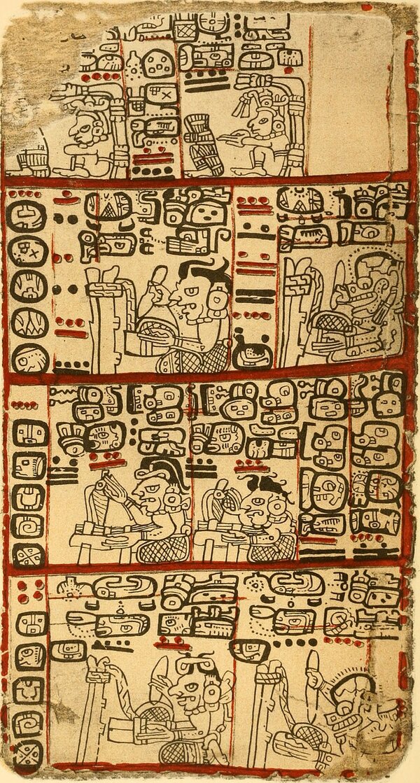 Maya Codex Codices Maya