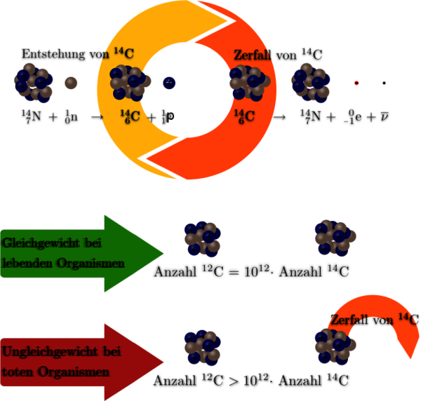 C14-Methode