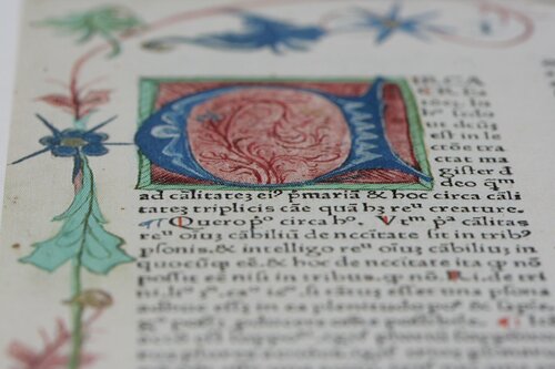 Farbenfrohe Buchseiten: Illuminierte Fragmente aus mittelalterlichen Handschriften