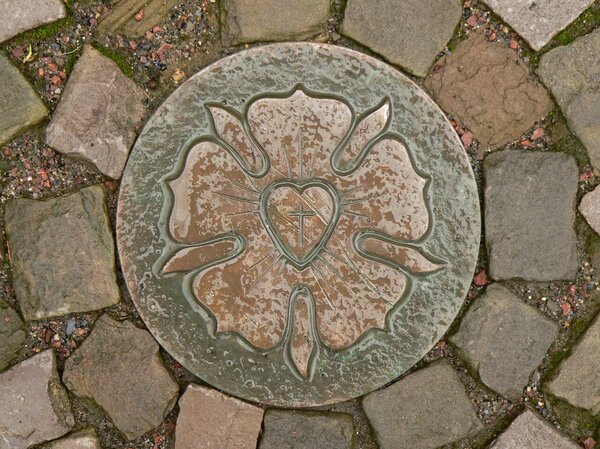 Luther-Rose in Eisleben Lutherrose